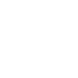 Alitas de Pollo BBQ